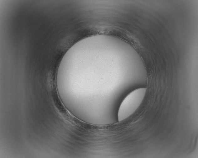 X0000073440594200607281033