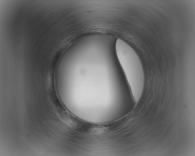 X0000073440595200607281033