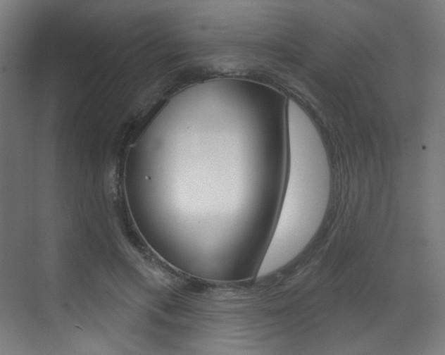 X0000073440597200607281033