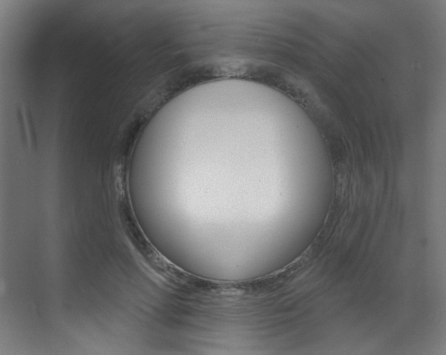 X0000073440598200607281033