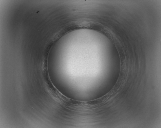 X0000073440600200607281033