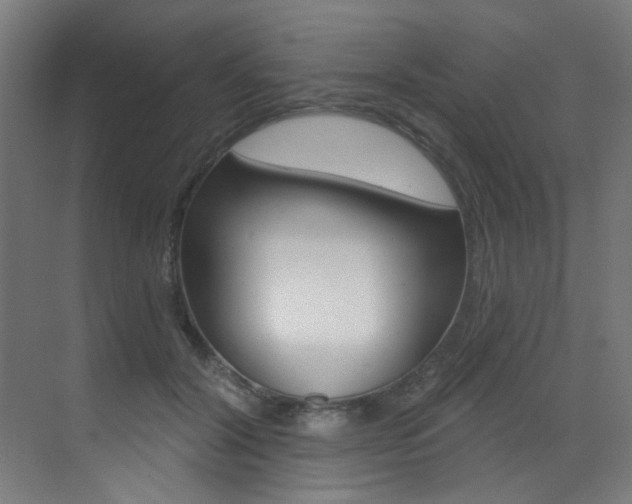 X0000073440604200607281033