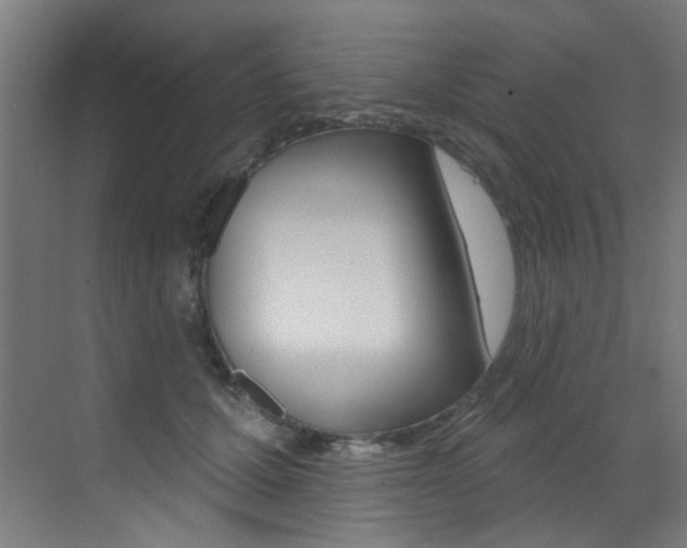 X0000073440607200607281033