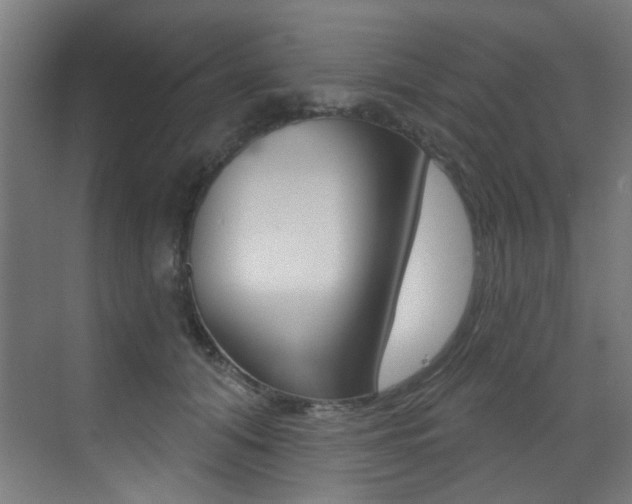 X0000073440608200607281033