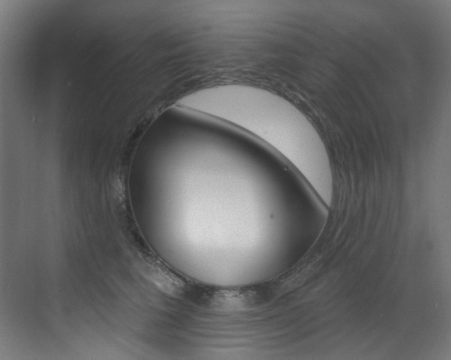 X0000073440613200607281033