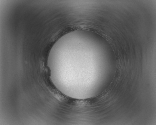 X0000073440615200607281033