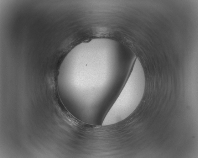 X0000073440620200607281033