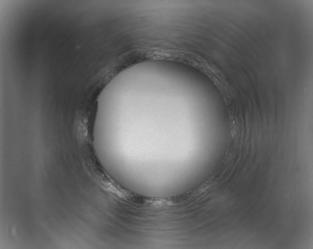 X0000073440621200607281033