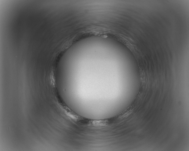 X0000073440622200607281033