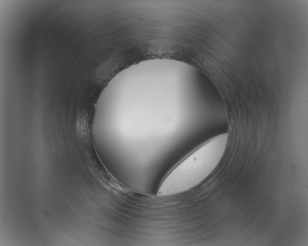 X0000073440623200607281033