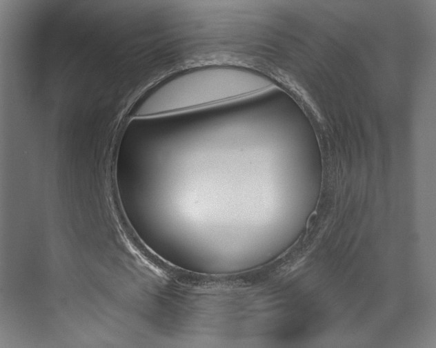 X0000073440625200607281032