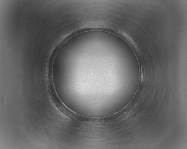 X0000073440627200607281032