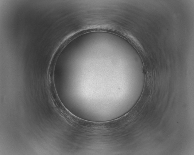 X0000073440628200607281032