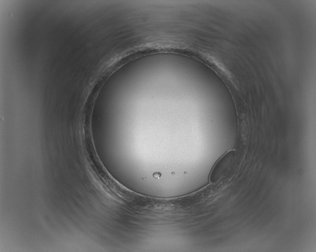 X0000073440631200607281032