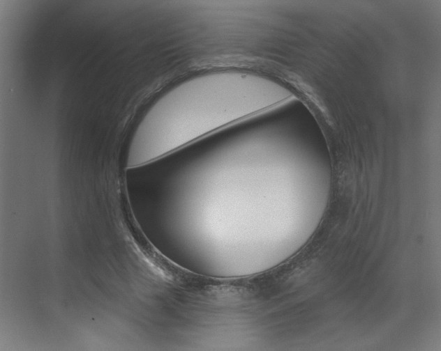 X0000073440633200607281032