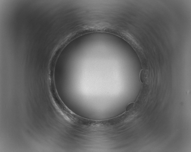 X0000073440634200607281032