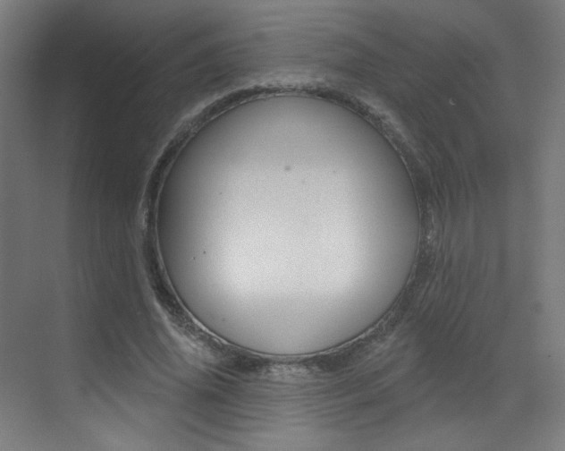 X0000073440636200607281032