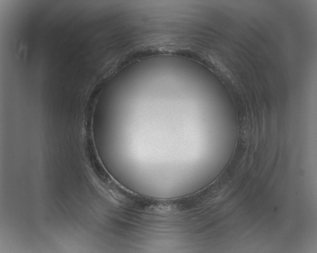 X0000073440639200607281032