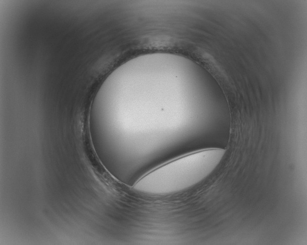 X0000073440640200607281032