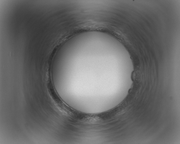 X0000073440642200607281032