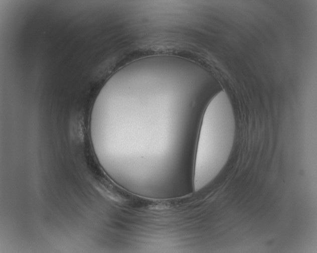 X0000073440644200607281032