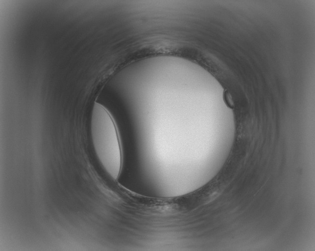 X0000073440646200607281032