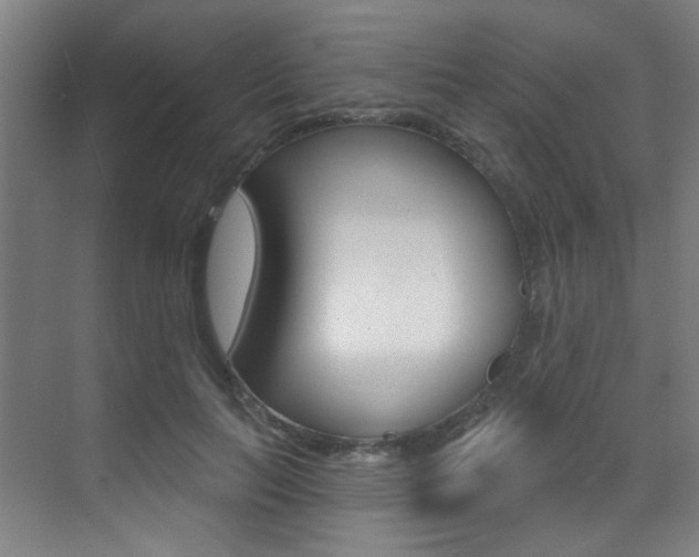 X0000073440647200607281032