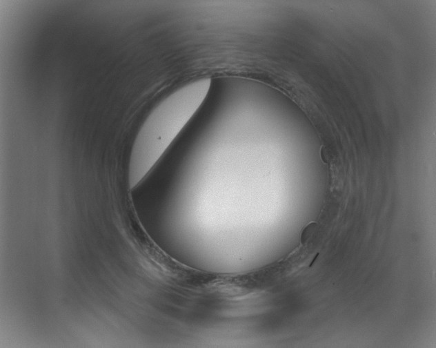 X0000073440648200607281032