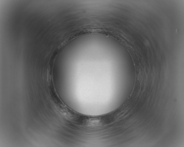 X0000073440651200607281032