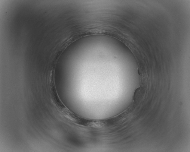 X0000073440652200607281032