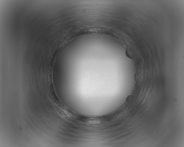 X0000073440653200607281032