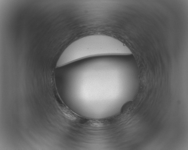 X0000073440658200607281032