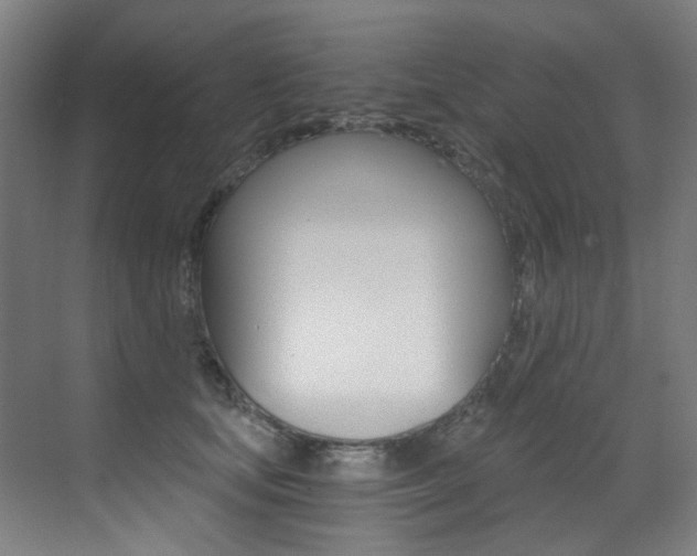 X0000073440659200607281032
