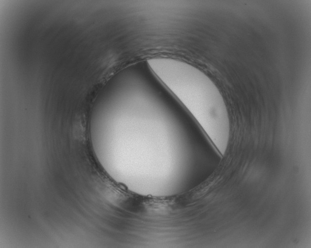 X0000073440661200607281032