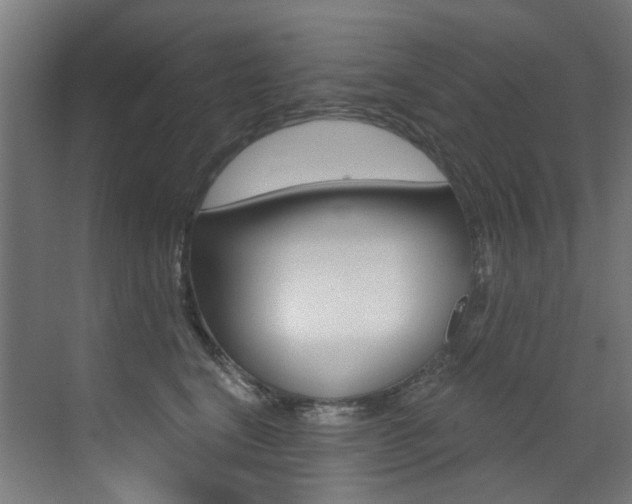 X0000073440664200607281032