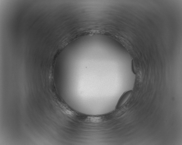 X0000073440665200607281032