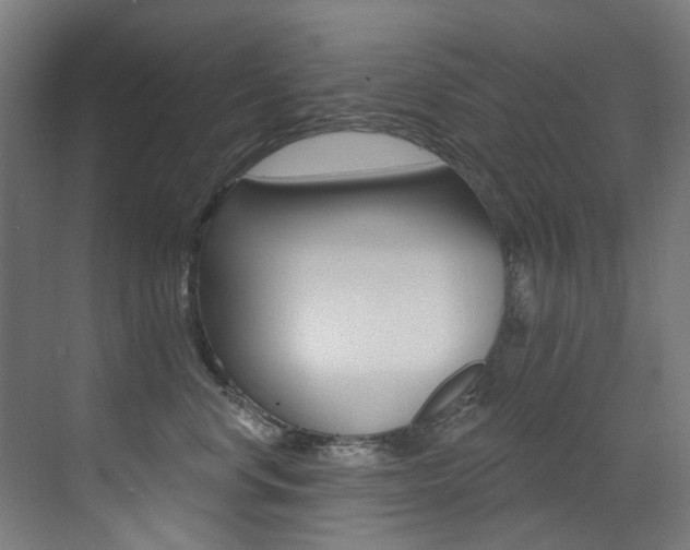 X0000073440668200607281032