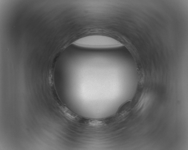 X0000073440669200607281033