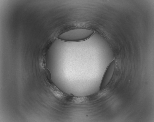 X0000073440671200607281033