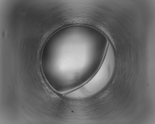 X0000073440673200607281032