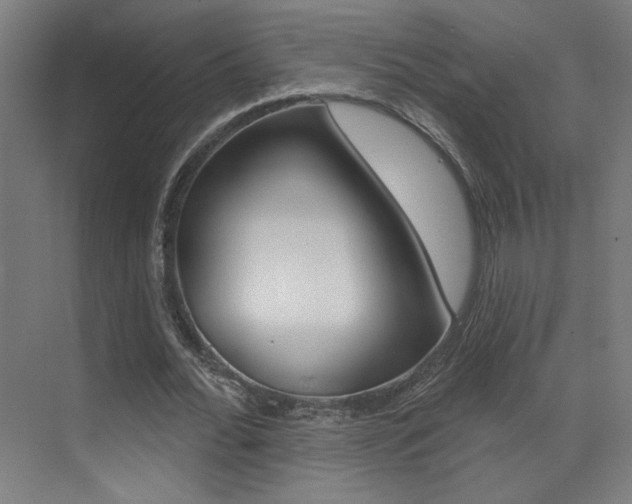 X0000073440676200607281032
