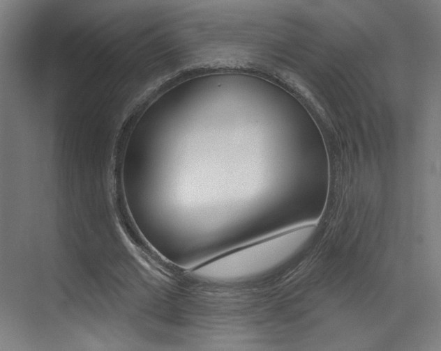 X0000073440677200607281032