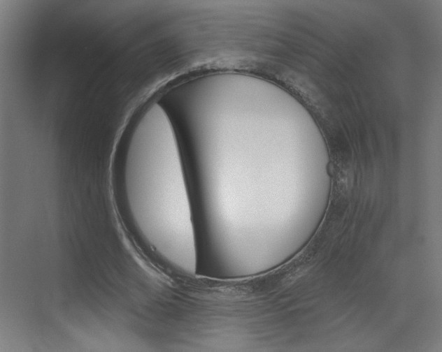 X0000073440678200607281032