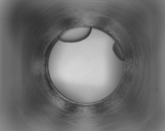 X0000073440679200607281032