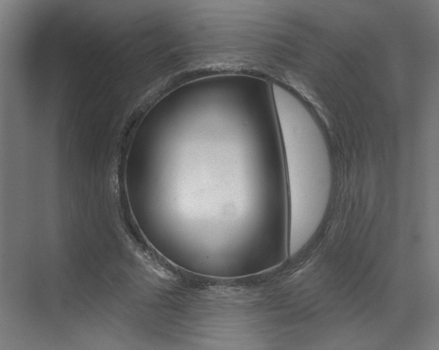 X0000073440681200607281032