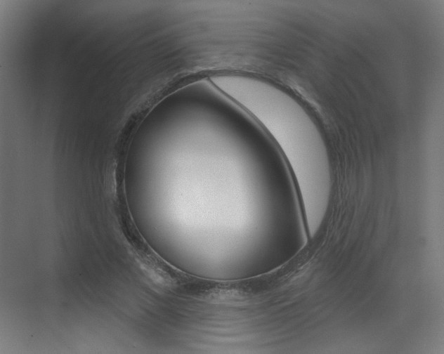 X0000073440685200607281032