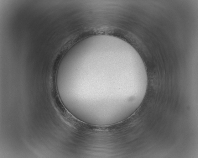 X0000073440690200607281031