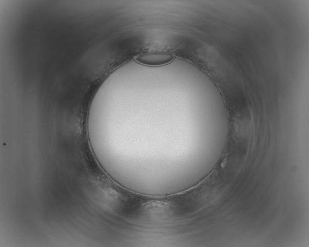 X0000073440691200607281031