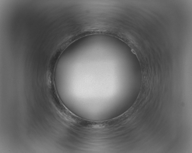 X0000073440692200607281031