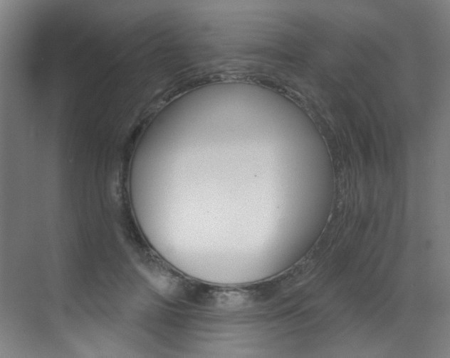 X0000073440698200607281031
